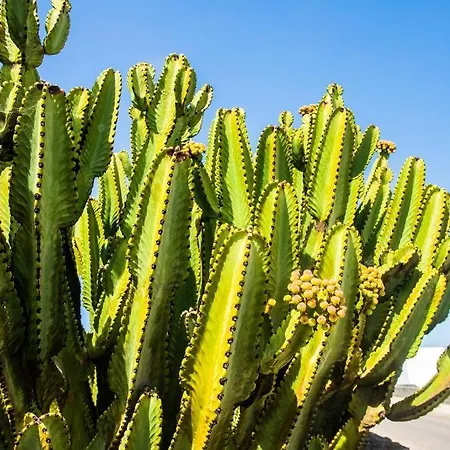 Aleksandra Spacious For 8 Guests, Heated Pool, Mountain Views